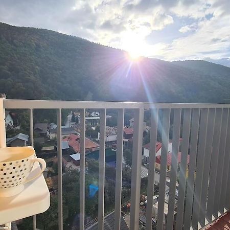 Apartament Vis De Sinaia ! Extérieur photo
