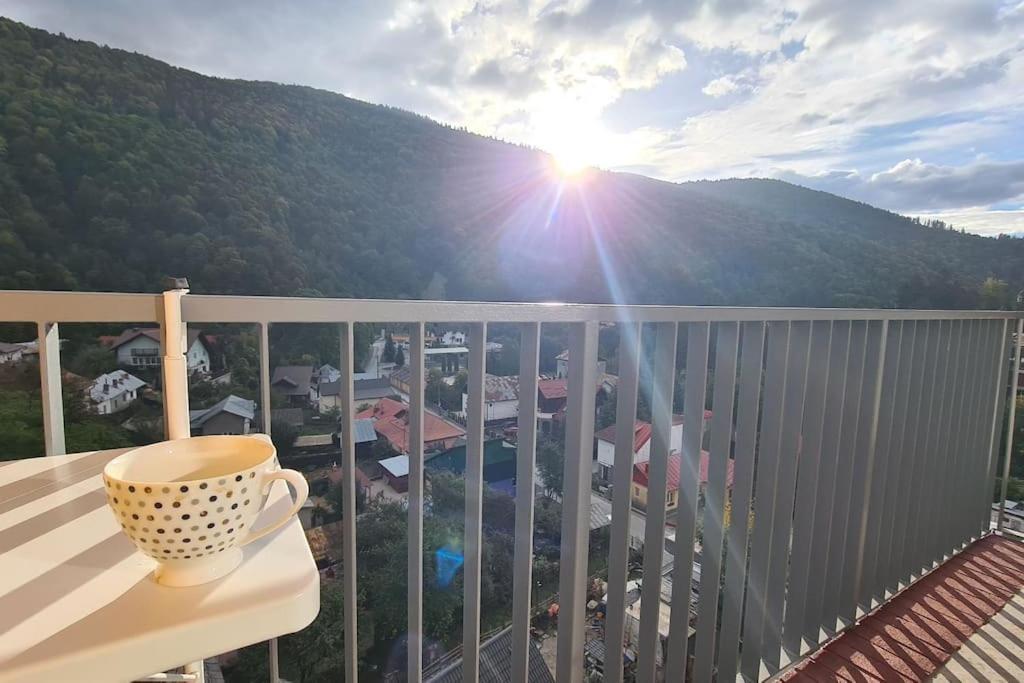 Apartament Vis De Sinaia ! Extérieur photo